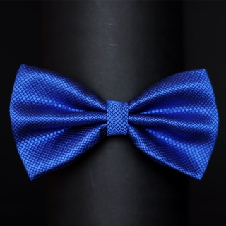 Купить синюю галстук бабочку