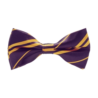 Фиолетовая галстук-бабочка в полоску