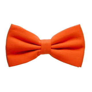 Оранжевая галстук бабочка