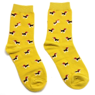Желтые носки с собачками