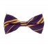 Фиолетовая галстук-бабочка в полоску thumb