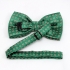 Зеленая галстук бабочка с цветами thumb