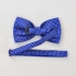 Синий галстук бабочка на застежке в горошек thumb