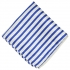 Нагрудный платок белого цвета с синими полосками thumb
